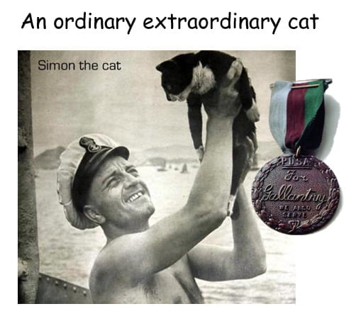 Award For Bravery