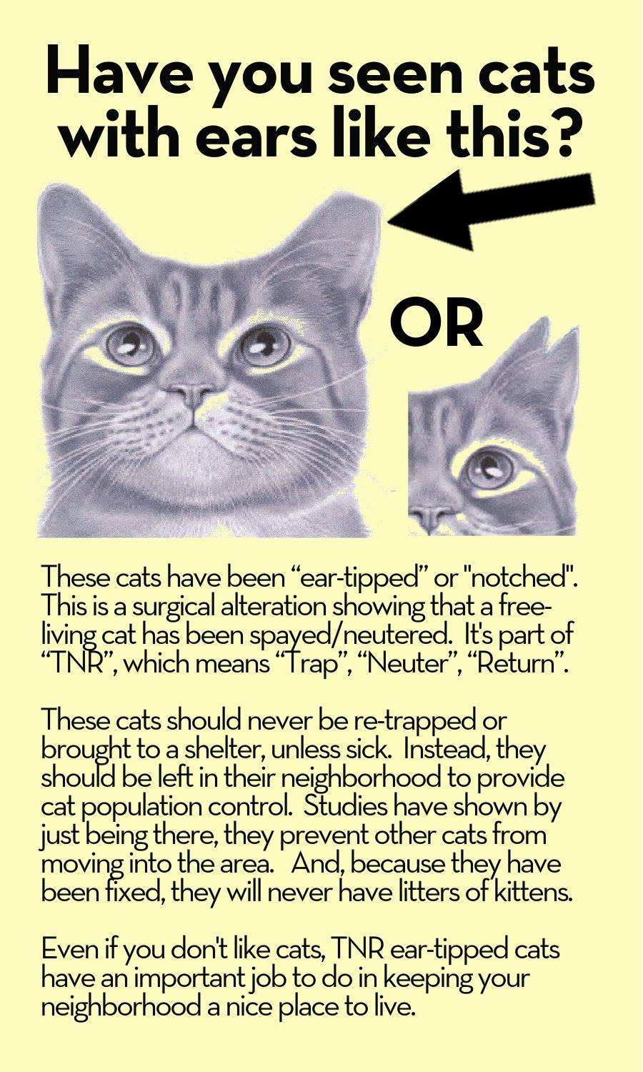 Freeliving Cat Eartipping Infographic!