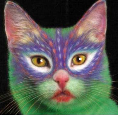 painted-cats-head-shoulders.jpg