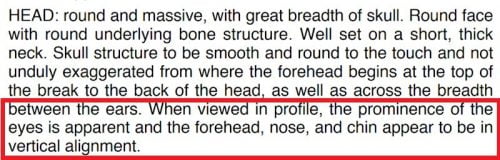 CFA Persian breed standard