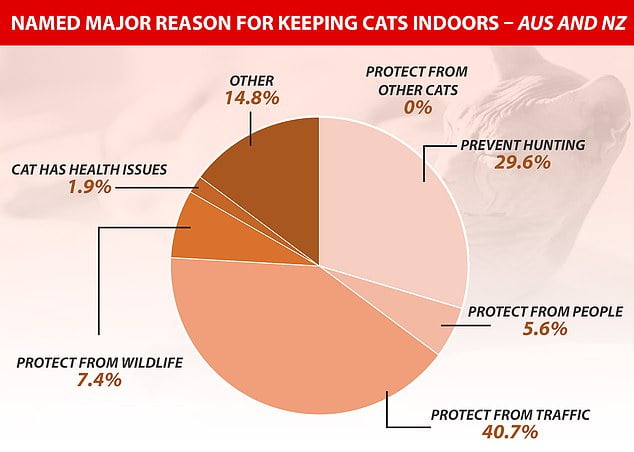The reasons why Australians keep their cats indoors