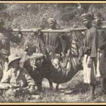 Balinese tiger killed in tiger hunt[6]