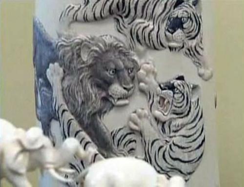 Tiger versus lion decoration