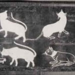 Cat-Book Poems showing Siamese type cats