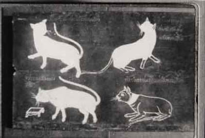 Cat-Book Poems showing Siamese type cats