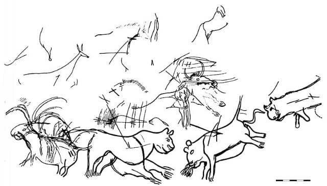 Palaeolithic cave paintings of European Cave Lions.