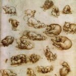 Leonardo cat drawing