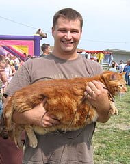 fat cat contest
