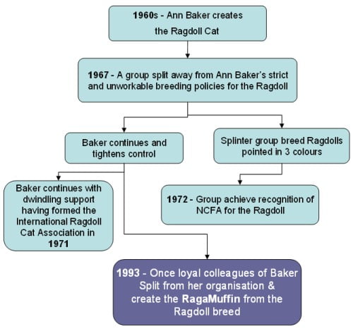 Ragamuffin history charted