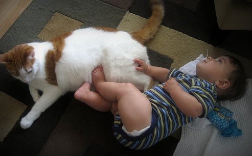 Young child with cat