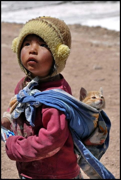 South American child and cat.