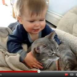 Toddler Loves His Cat