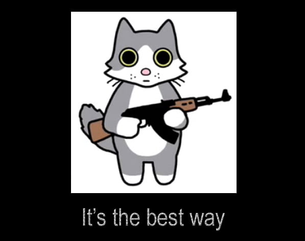 Cat with gun
