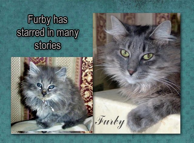 Furby Stories
