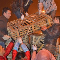 Cats rescued from lorry on the way to cat meat market