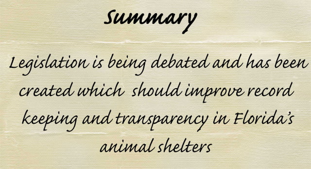 Laws affecting Florida's animal shelters
