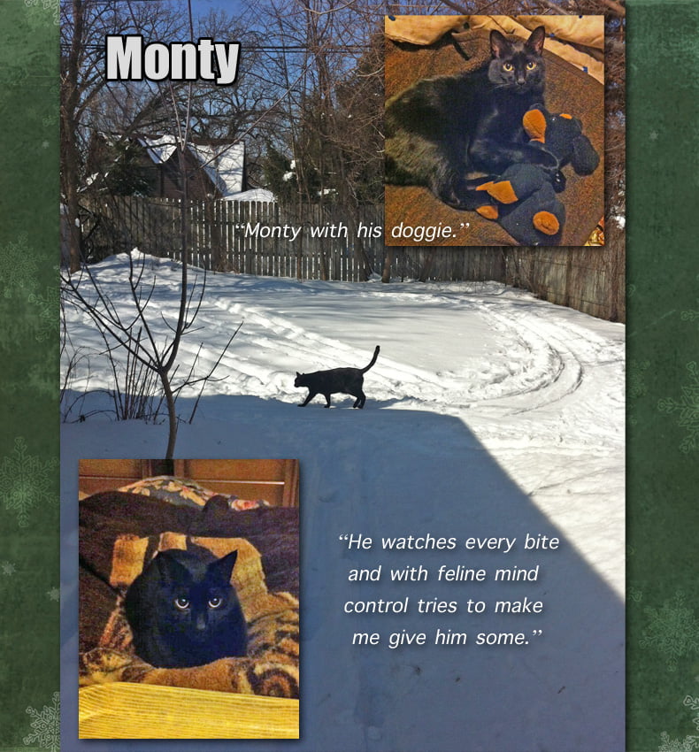 Monty - Ruth's Feline Companion