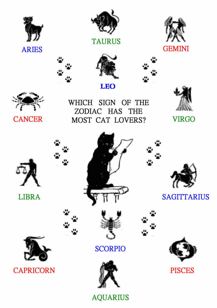 Zodiac signs for cat lovers and cats