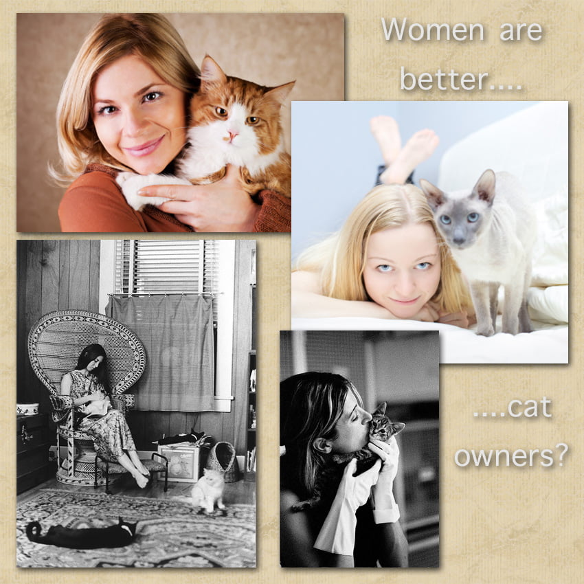 Women are better cat caretakers than men