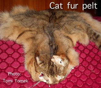 Cat fur pelt Switzerland