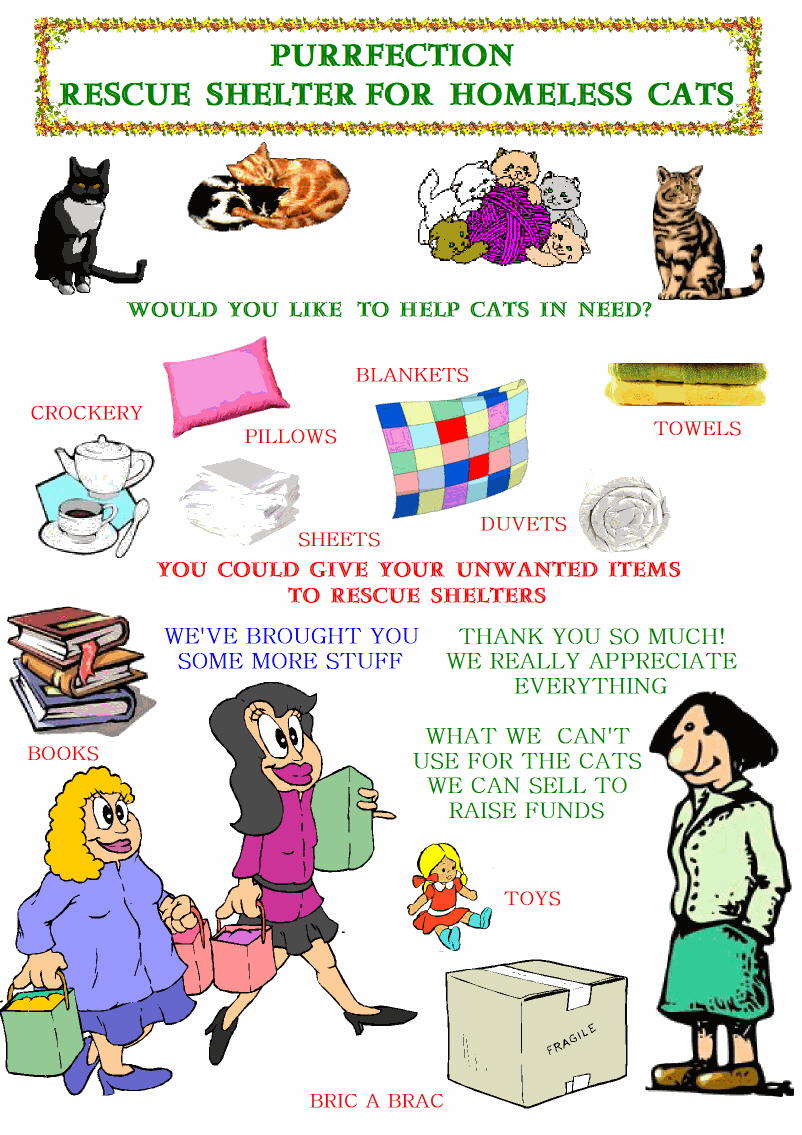 Giving for needy cats