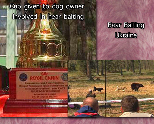 Royal Canin involved in bear baiting