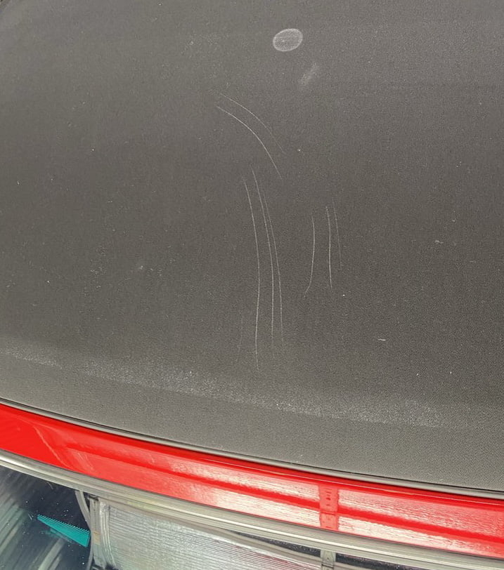 Car cat scratched? Yes or No?