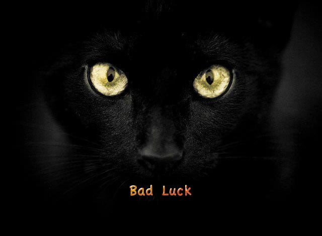 Black cats are bad luck