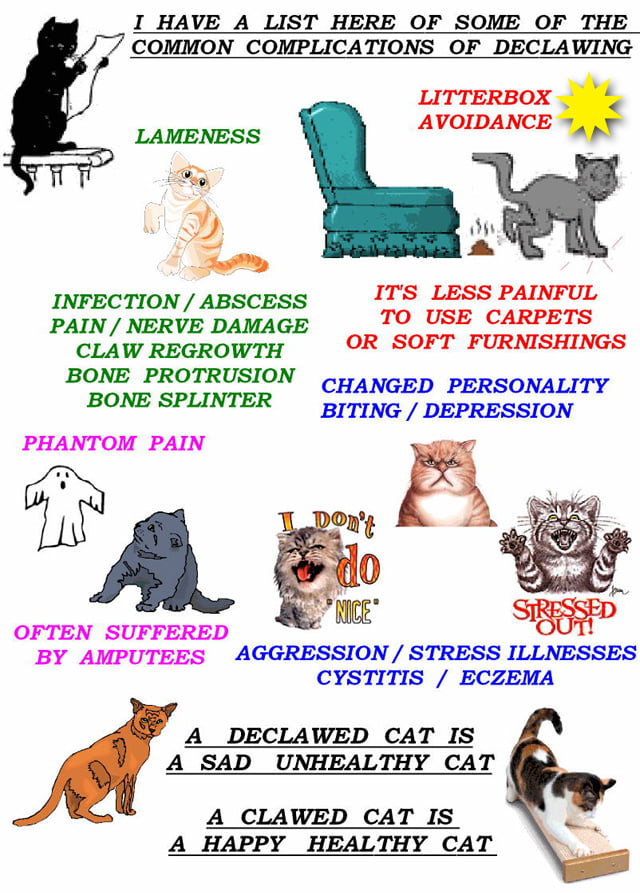 Litter aversion by declawed cat