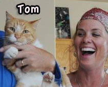 Tom a cat who returned home