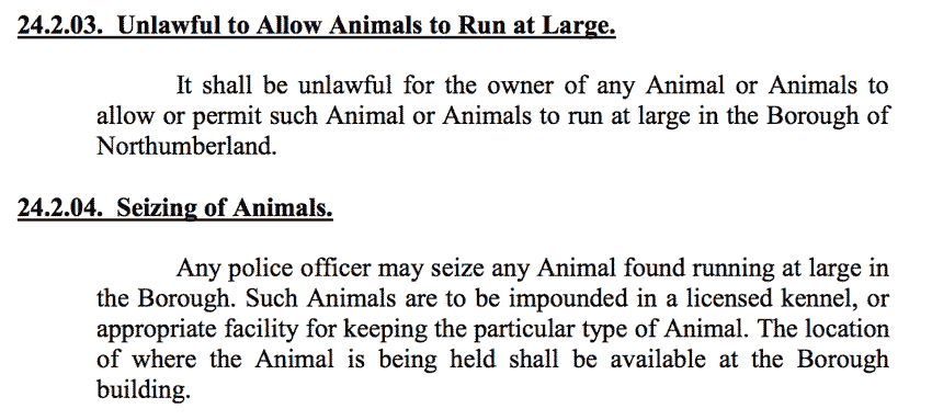 animal-ordinance-1