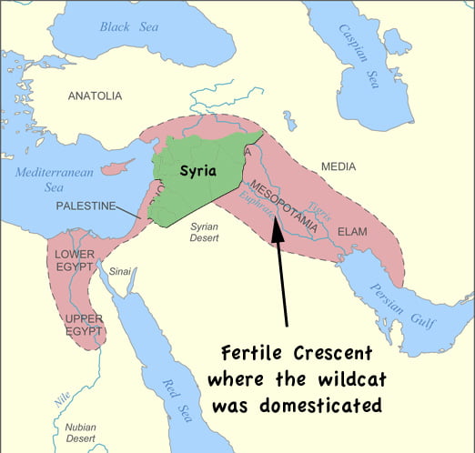 Syria is in the fertile crescent