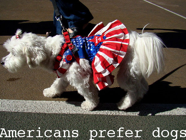 Americans prefer dogs to cats