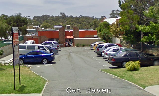 Cat Haven Australia Cat Rescue
