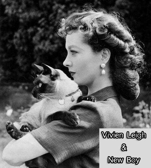 Vivien Leigh and her Siamese cat New Boy
