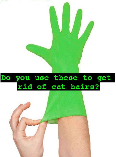 Using damp rubber gloves to get rid of cat hairs