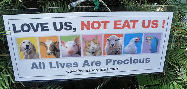 Vegetarians And Cat Lovers Can Be Disliked