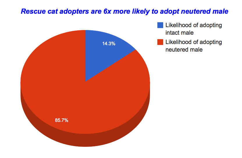 rescue adoptions statistics