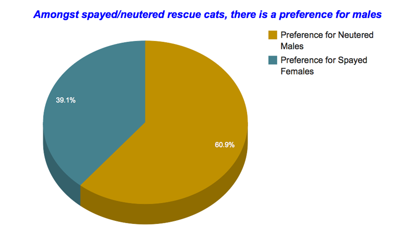 rescue-cat-adoptions-statistics-3