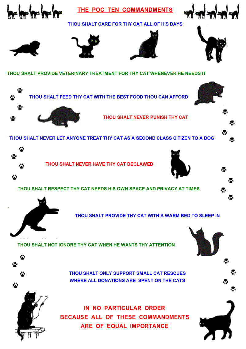 ten commandments for cat caretaking and welfare