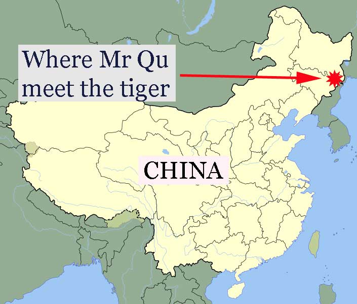  attack by injured Siberian tiger on a Chinese man