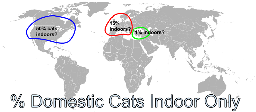 World map showing attitudes on indoor/outdoor cats