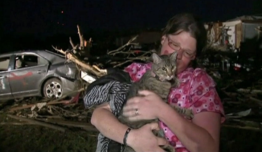   Picture of a tabby cat rescued from the Arkansas tornadoes 2014