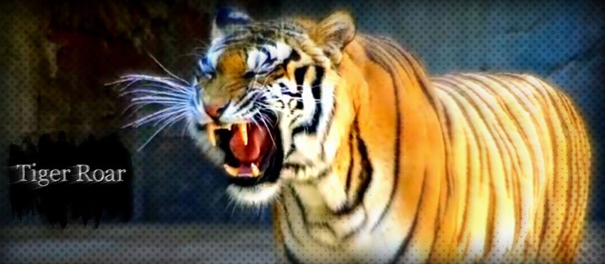 Tiger roar facts for kids