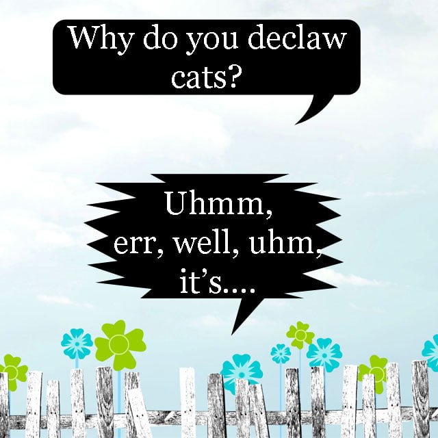 Why do you declaw cats