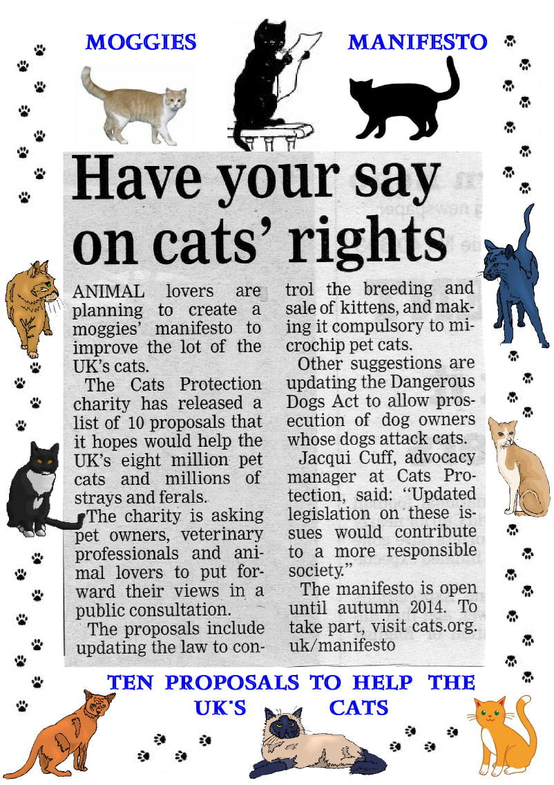 Cats Protection proposals to improve cat welfare UK