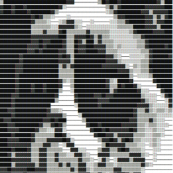 Grumpy cat ascii
