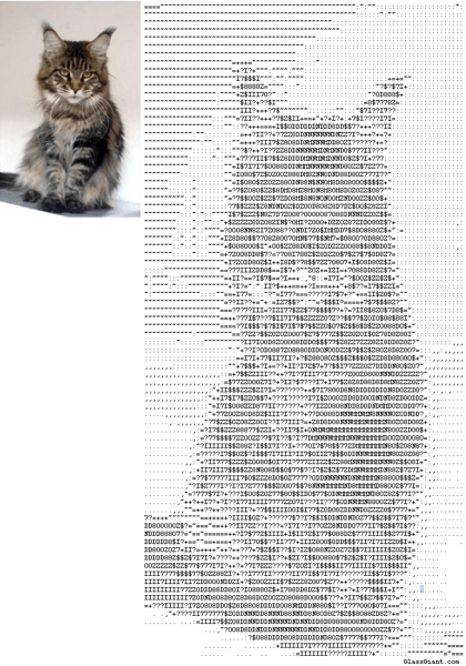 Grumpy Cat ascii – Freethinking Animal Advocacy