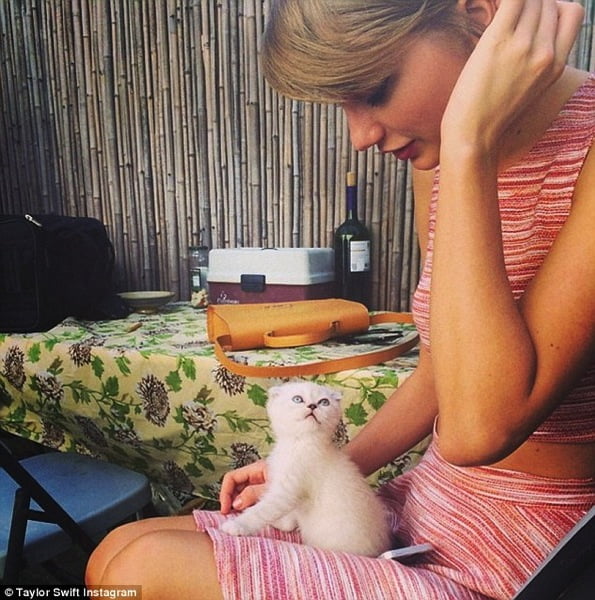 Taylor Swift with her white kitten on her lap