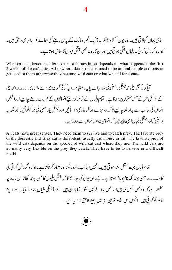 Essay on cats in Urdu